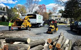 Best Arborist Consultation Services  in Pleasant View, TN