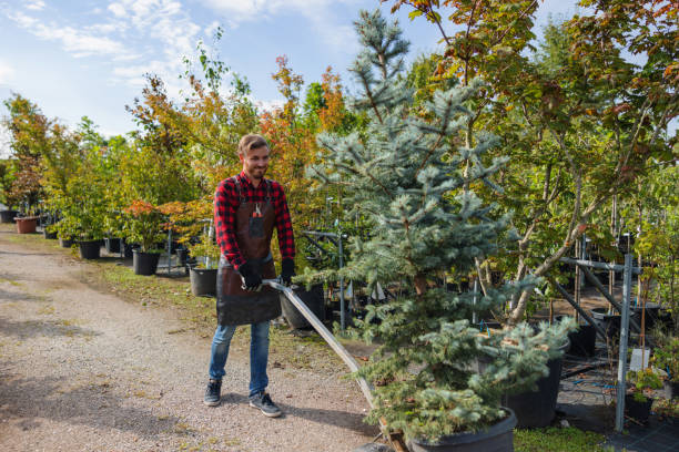 Best Tree Preservation Services  in Pleasant View, TN